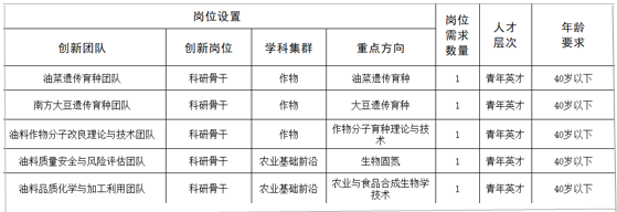 招聘崗位.png